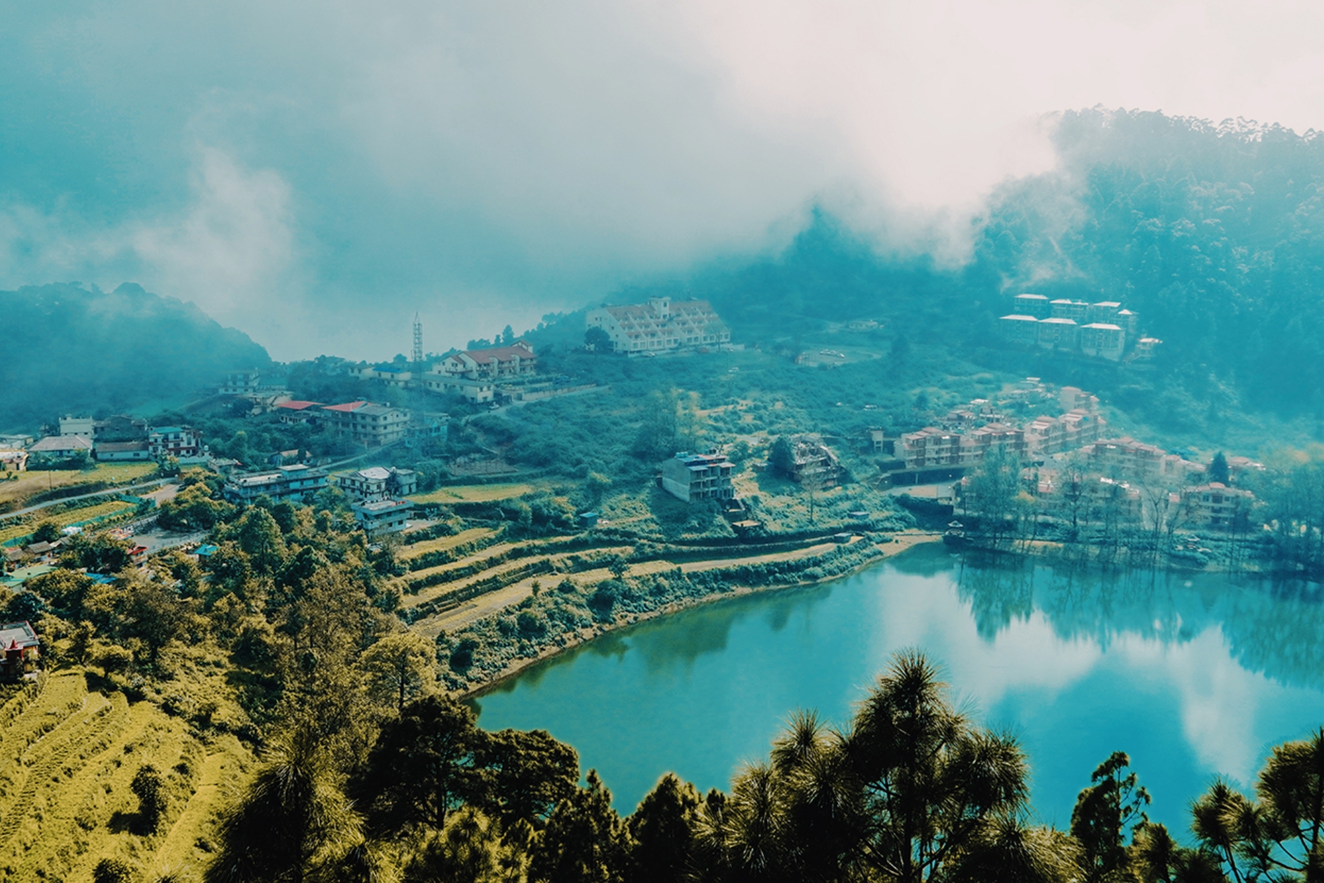 Untitled design (10)