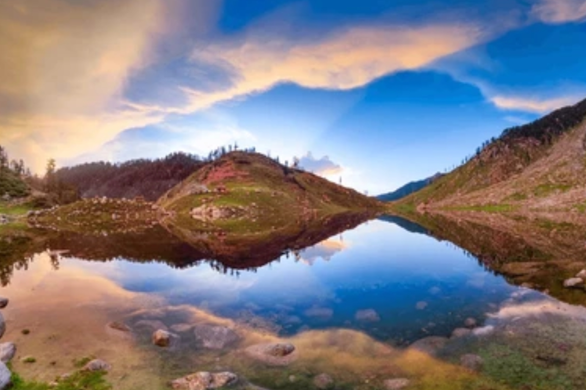 Untitled design (10)