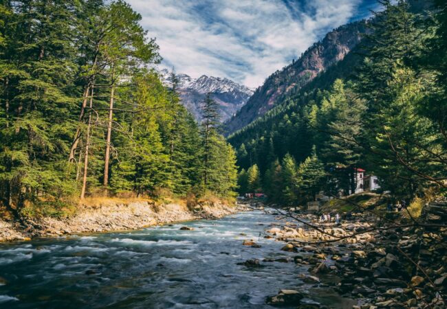 Untitled design (10)