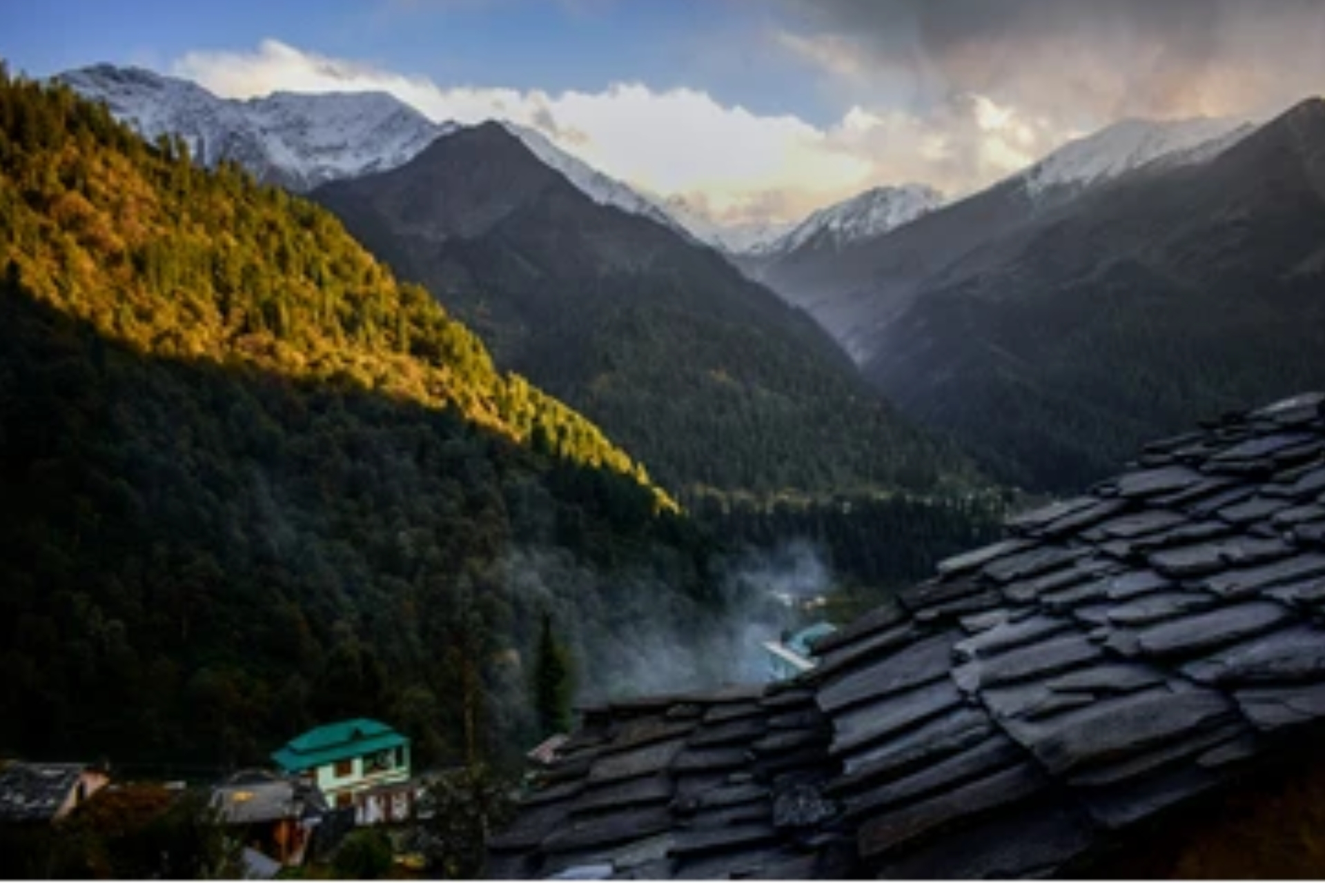 Untitled design (11)